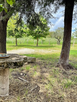 la fonte bandb