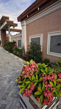 lavender lodge dodoma