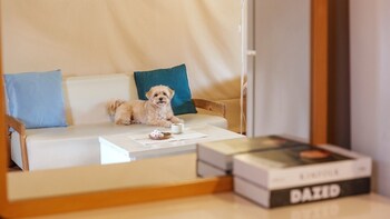 chungju palbong glamping