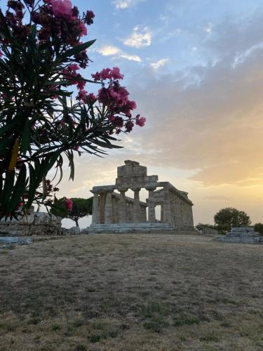 kalos paestum