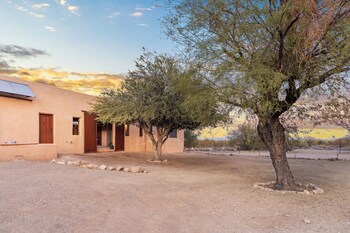 saguaroglamp