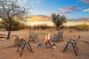 saguaroglamp