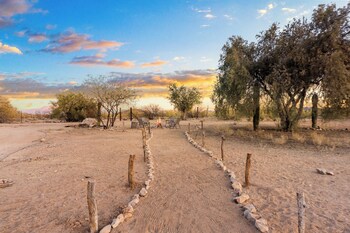 saguaroglamp