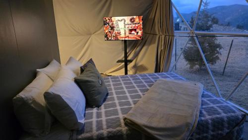 the nest at black hawk