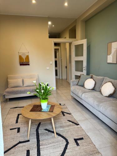 suites domus fysi