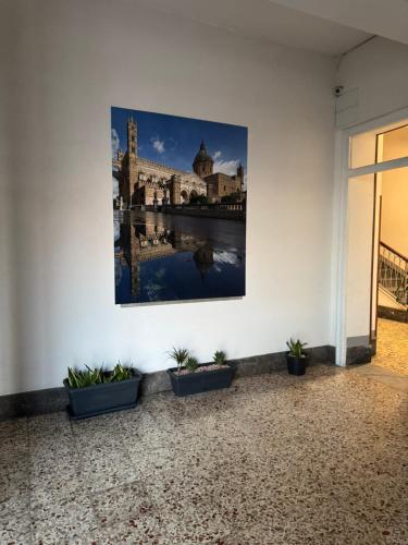 suites domus fysi