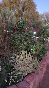 flower lane guesthouse