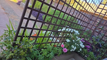 flower lane guesthouse