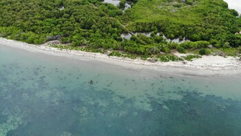 rincon del mangle