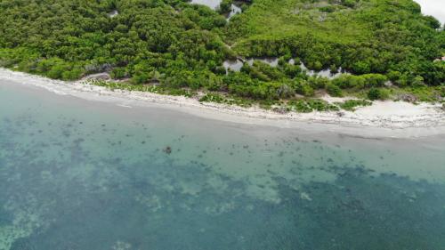 rincon del mangle