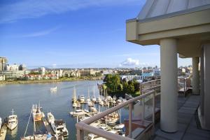 coast victoria hotel and marina by apa