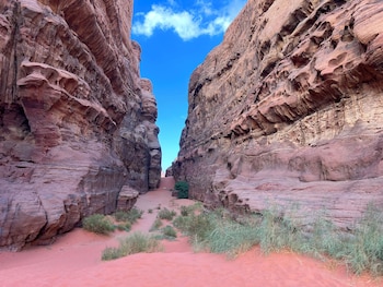 cozy tent in wadi rum