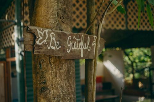 chilamate rainforest beach retreat