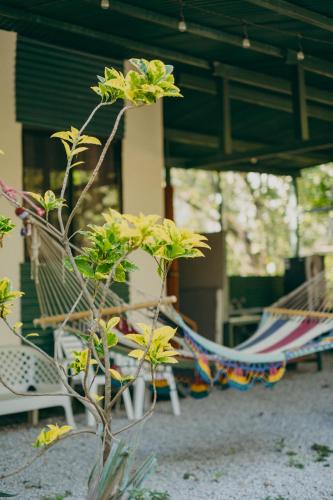 chilamate rainforest beach retreat