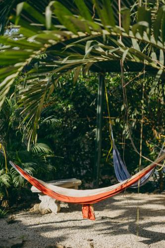 chilamate rainforest beach retreat