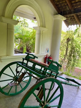 the nature palace villa