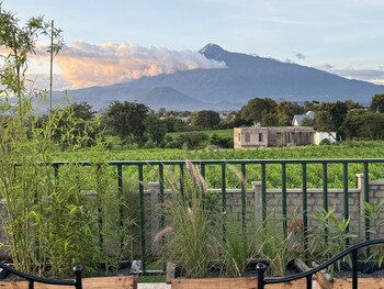 moyoni africa lodge and tours