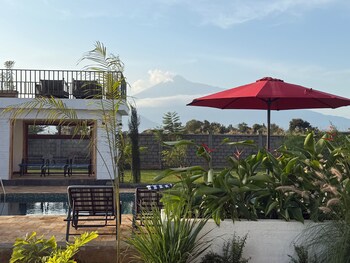 moyoni africa lodge and tours