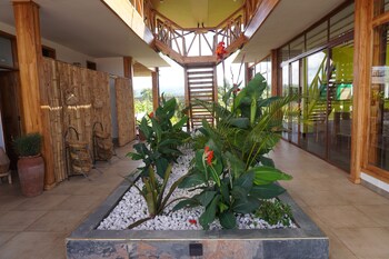 moyoni africa lodge and tours