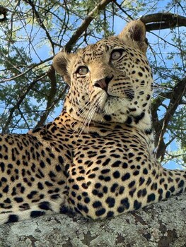 moyoni africa lodge and tours
