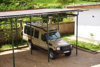 moyoni africa lodge and tours