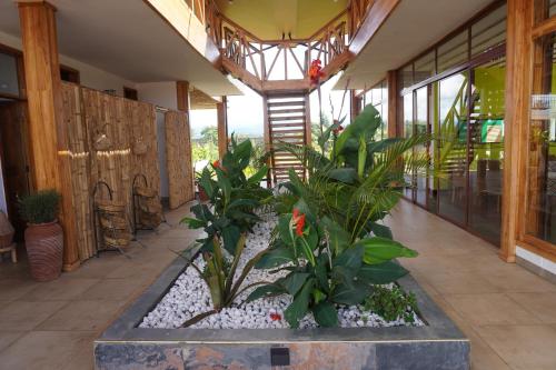 moyoni africa lodge and tours