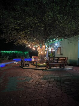 bush adventure guest house