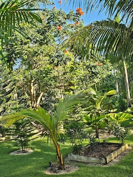 Hacienda Corales De Margarita,,3 star