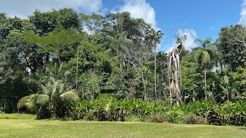 san juan bautista