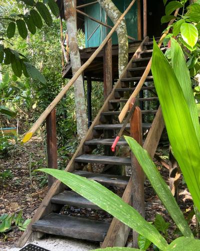 amaca eco station