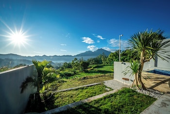the jungle sunrise