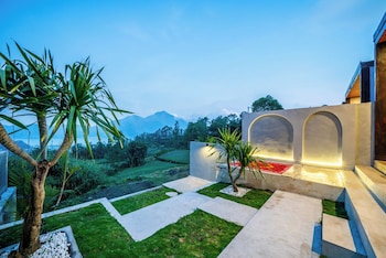 the jungle sunrise
