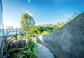 the jungle sunrise