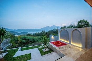 the jungle sunrise