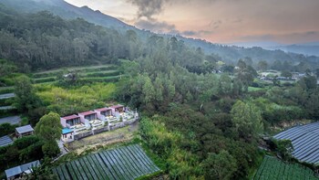 the jungle sunrise