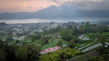 the jungle sunrise
