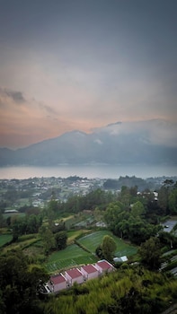 the jungle sunrise