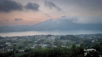 the jungle sunrise