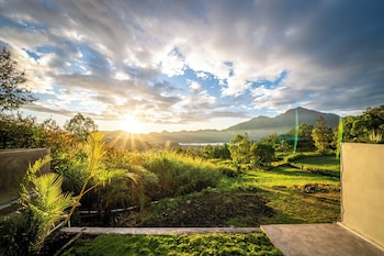 the jungle sunrise
