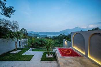 the jungle sunrise