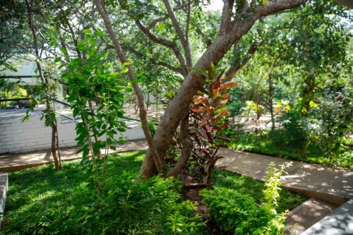 kasambabezi lodge