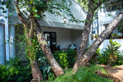 kasambabezi lodge