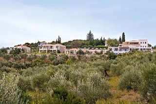 pylos nestoras
