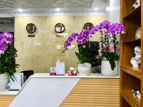 cozy 86 homestay