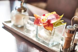 djh gastehaus bermuda3eck