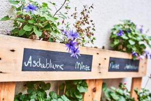 djh gastehaus bermuda3eck