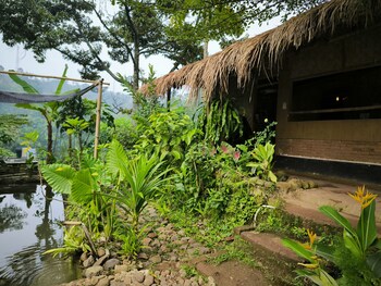 farmstay manangel