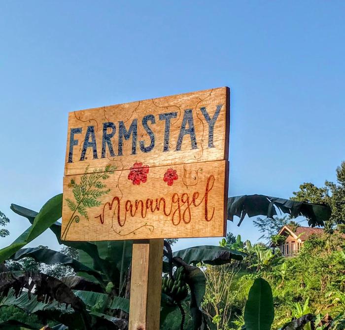 farmstay manangel