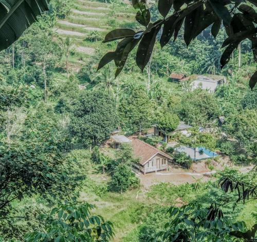 farmstay manangel