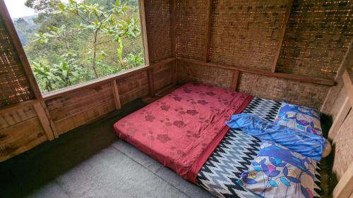 farmstay manangel